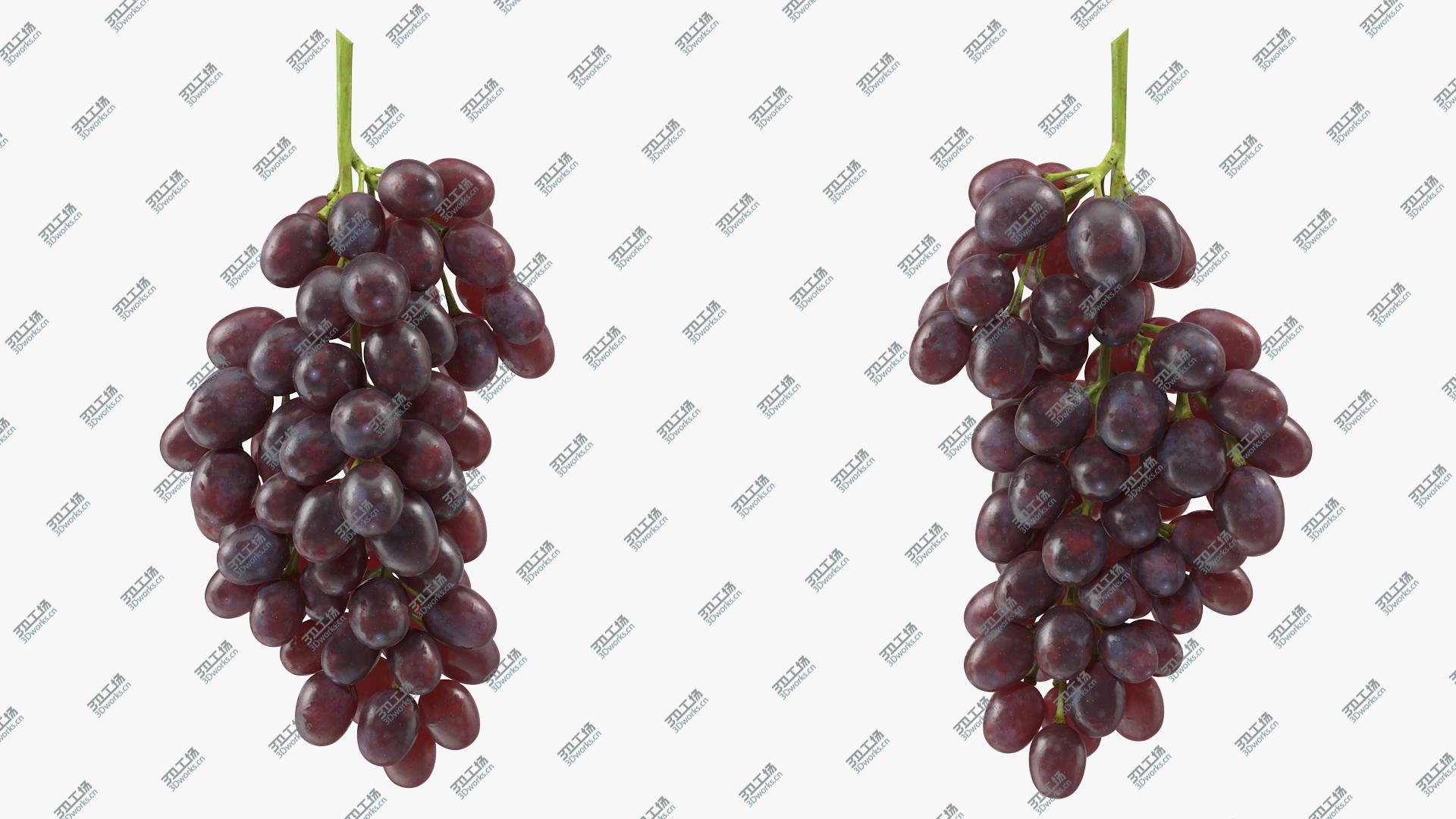 images/goods_img/2021040161/3D model Cluster of Dark Grapes/1.jpg